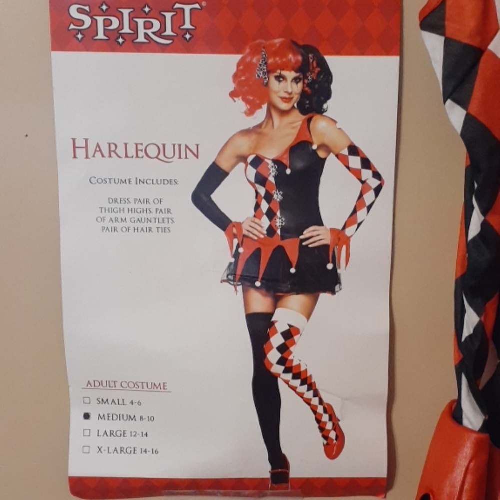 Harlequin Halloween costume Adult